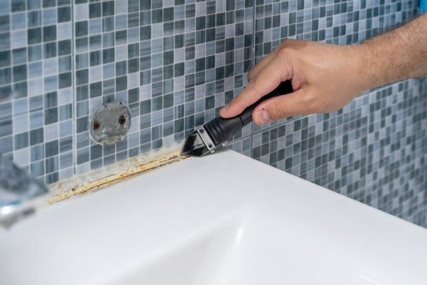 Best Emergency Mold Remediation in Alvin, TX